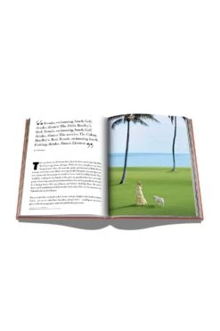 Assouline Palm Beach -Swim Style Shop assouline palm beach 192985